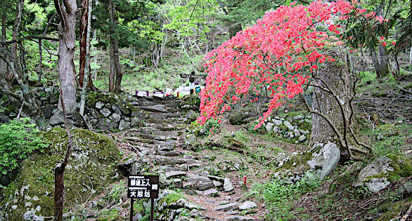 旧猿田彦神社跡の階段下
