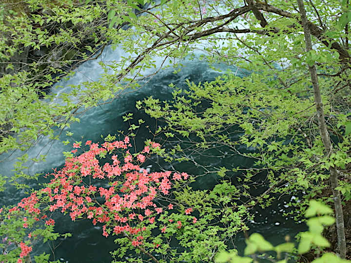 庚申川の風景