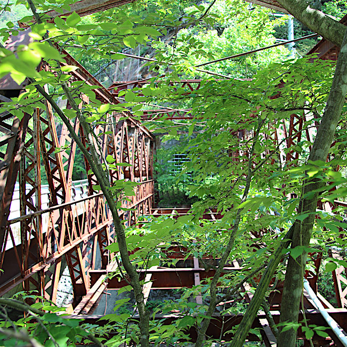 5.坑口の懸け橋閉ざす茂りかな