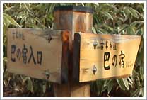巴の宿