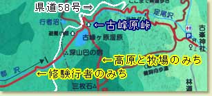 現地地図