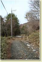 都沢林道