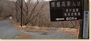 左オルト