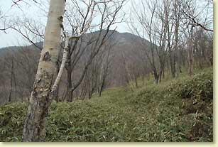 半月山