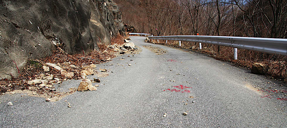 この写真のサイズ980x440です