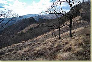 遠景、二子山。手前、水山と水山堆積場