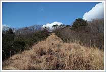 奥水山直下のススキ尾根