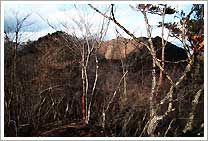 奥水山山頂から大水山と備前楯山