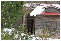 右_本山坑