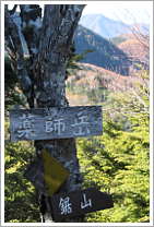 薬師岳山頂