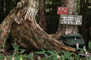 大平山山頂