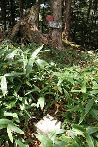 大平山山頂名板と三角点標石