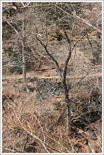 馬立橋・病院跡