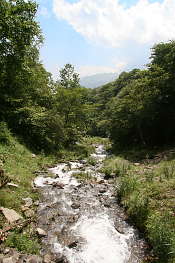 淀沢