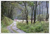 深沢住居跡