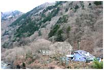 里山風景