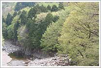 足尾橋からの春風景