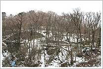 細尾峠