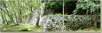 広道路の石垣