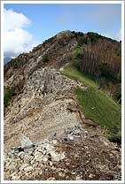 西から見る沢入山