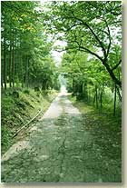 夏色に包まれた風景