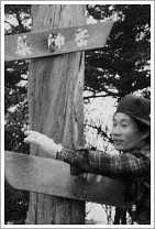 1977年の薬師岳山頂