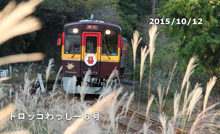 トロッコわっしー６号が、ススキをなびかせ走ります