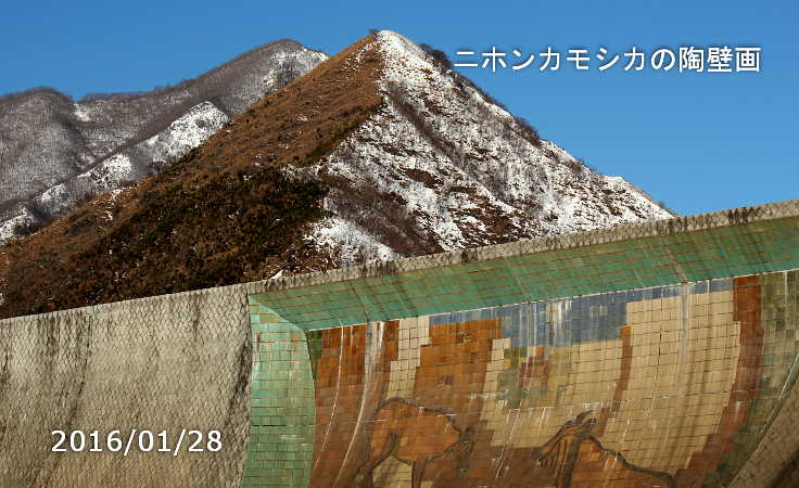 ニホンカモシカの陶壁画