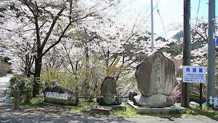 馬頭尊