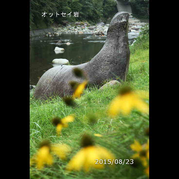 オットセイ岩