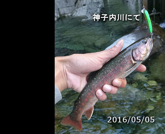 神子内川にて