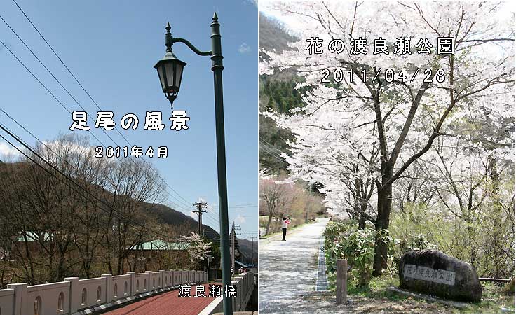 渡良瀬橋 · 花の渡良瀬公園