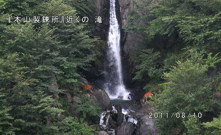 無名滝とニホンジカ