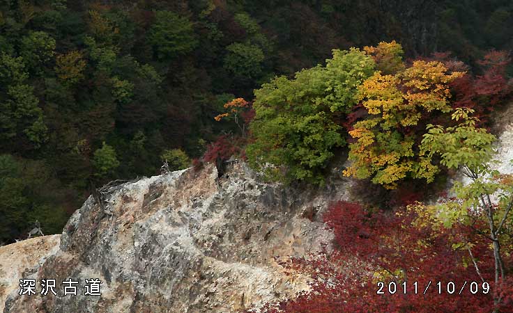 林道終点での紅葉