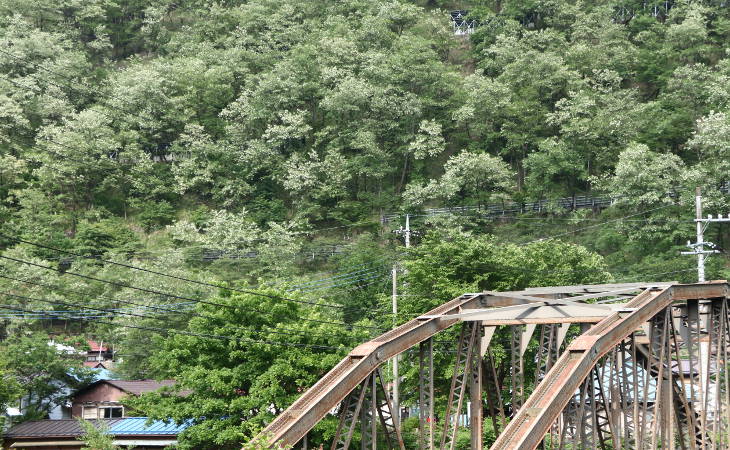 足尾町赤倉の初夏