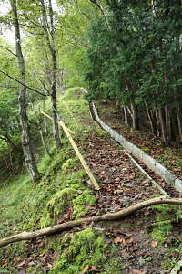 しなぶり山の尾根