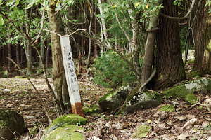 塩ノ沢林道終点