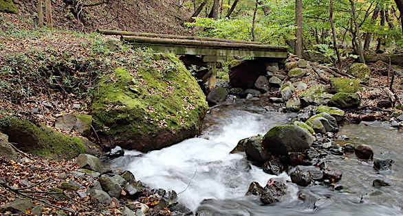 水ノ面沢沿いの参道