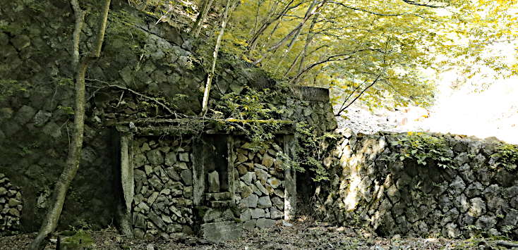 この写真のサイズ980x440です
