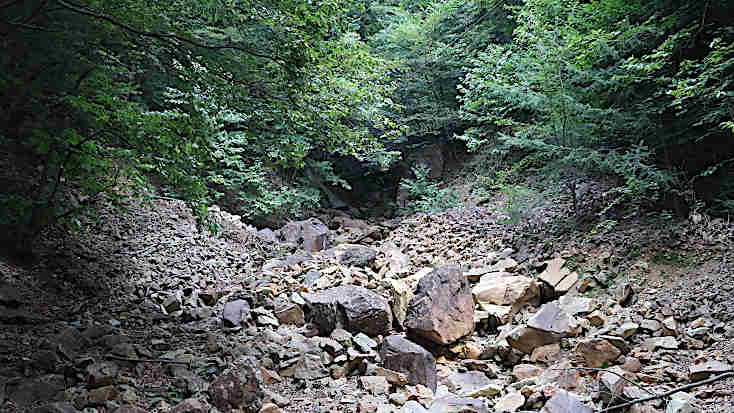 文象楯入坑の上流側