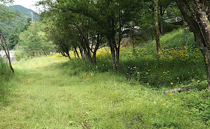 河川敷