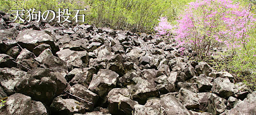 この写真のサイズ980x440です