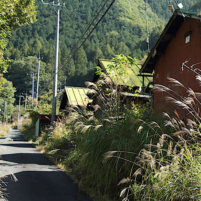 1.芝ノ沢