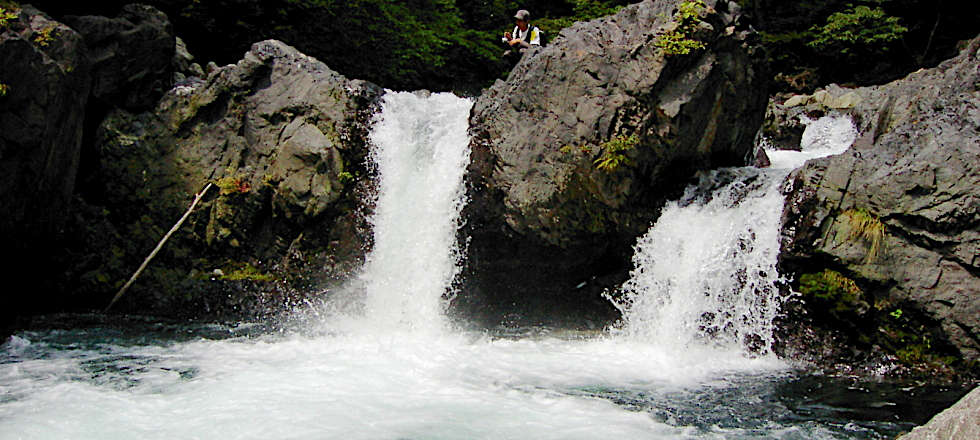 この写真のサイズ980x440です