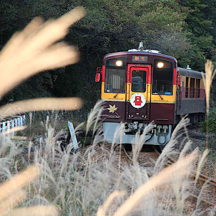 2.トロッコわっしー号