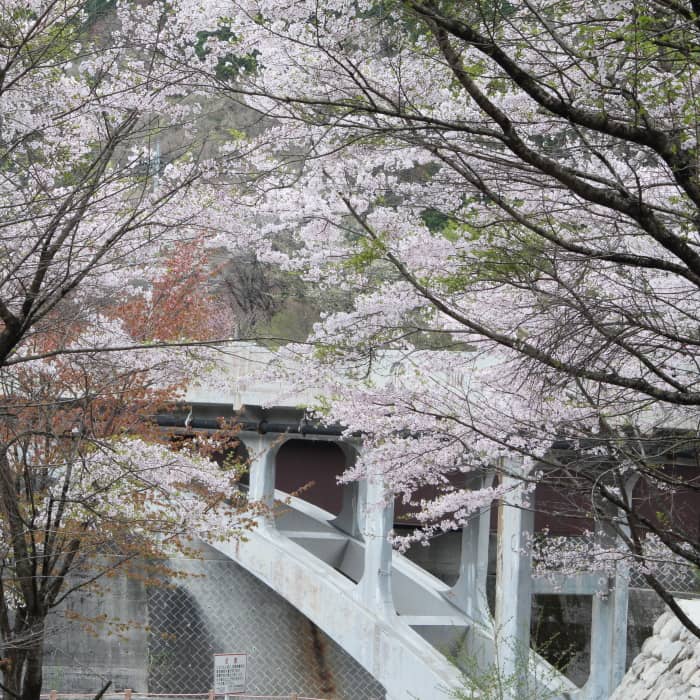 9.渡良瀬橋