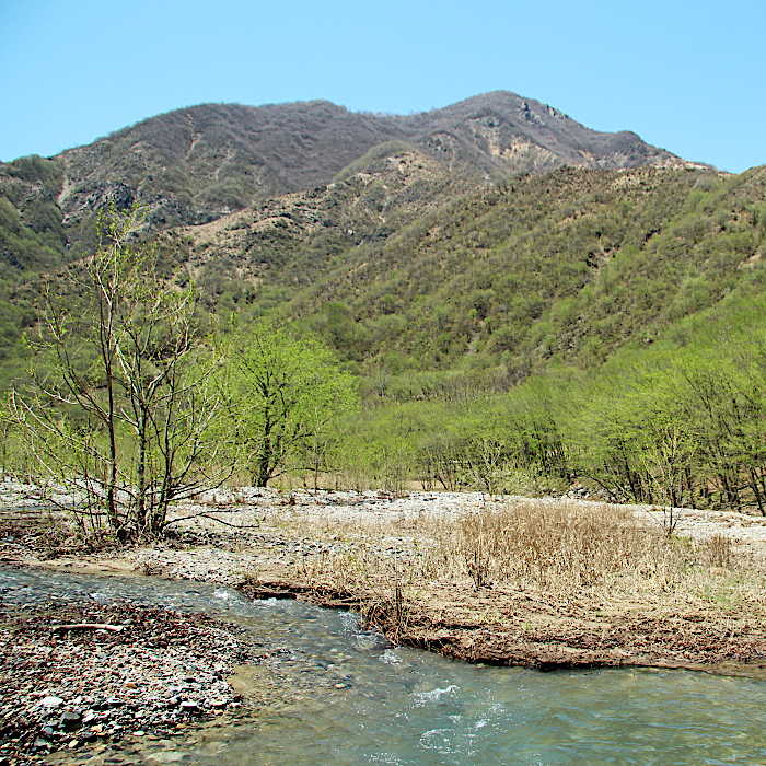 12.仁田元ダムの原から中倉山