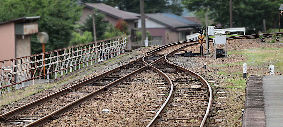 この写真のサイズ980x440です