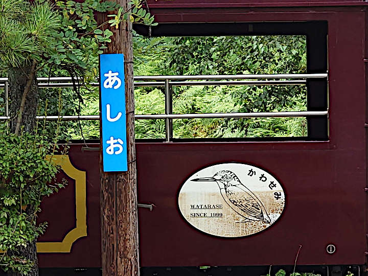 写真15