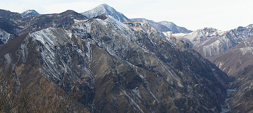 この写真のサイズ980x440です